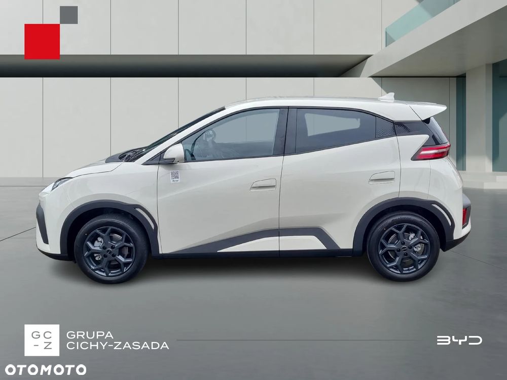 BYD Dolphin Surf - 2