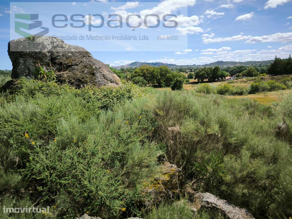 Terreno com 60.000 m² às portas da cidade de Castelo Branco - Grande imagem: 3/15
