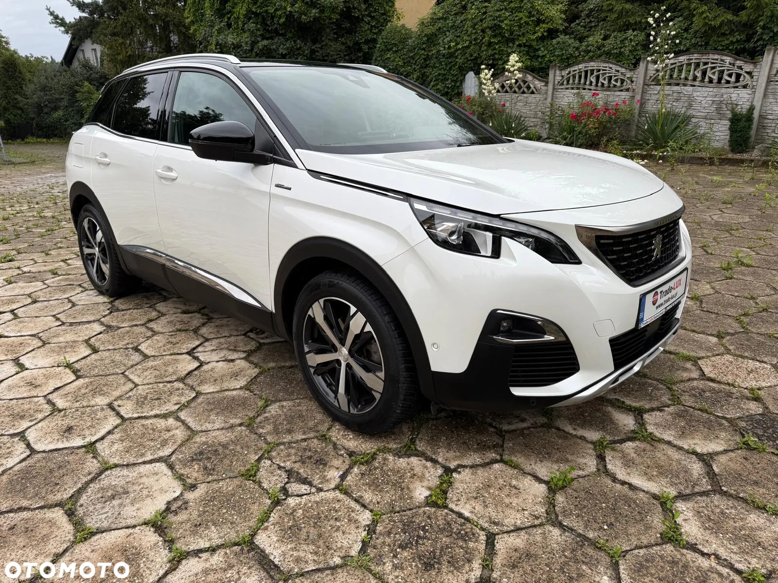 Peugeot 3008 1.6 PureTech GPF GT Line S&S EAT8 - 5