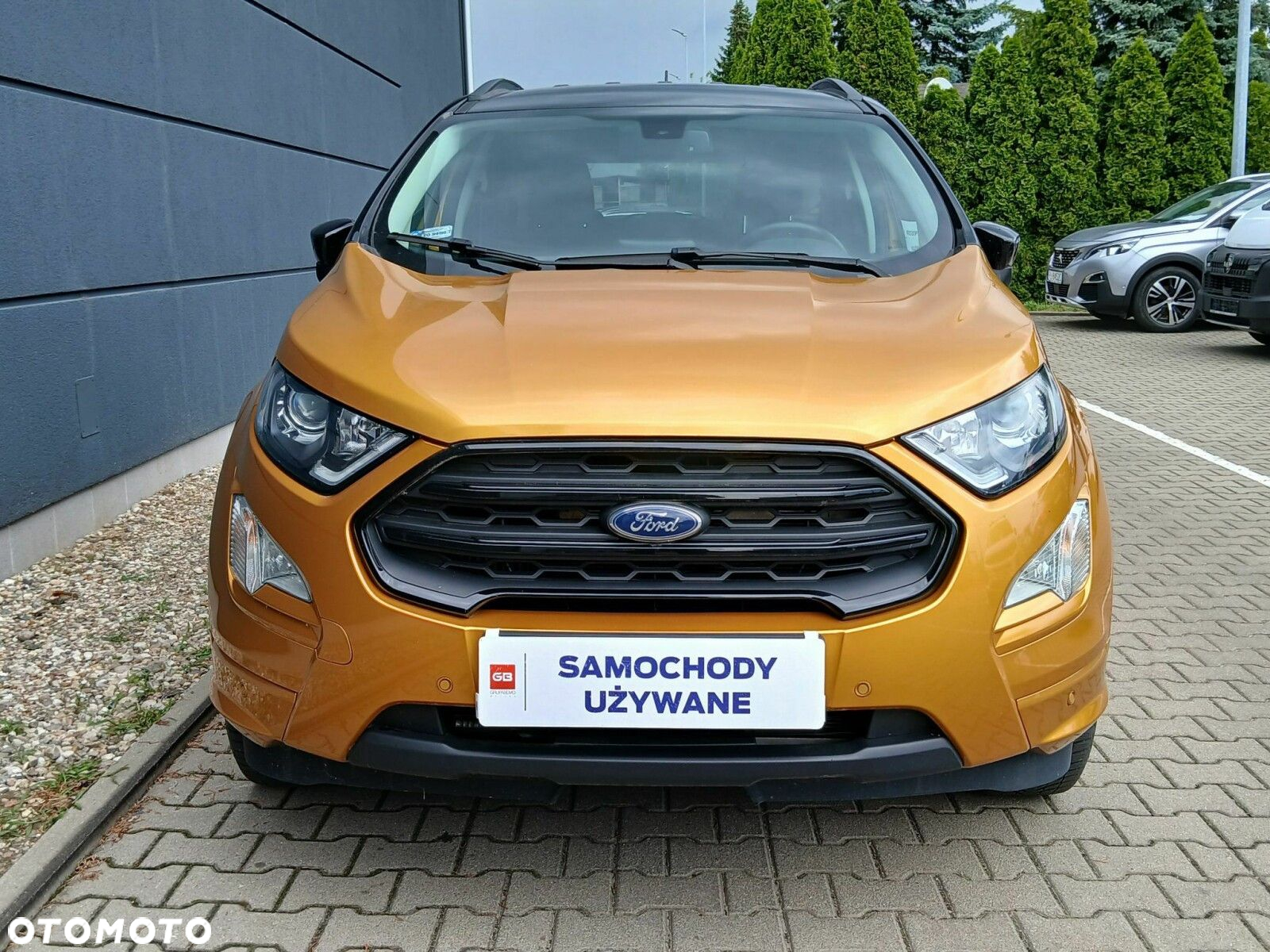 Ford EcoSport - 3