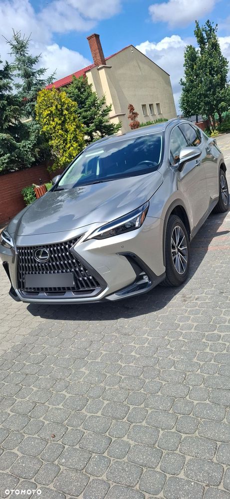 Lexus NX - 2