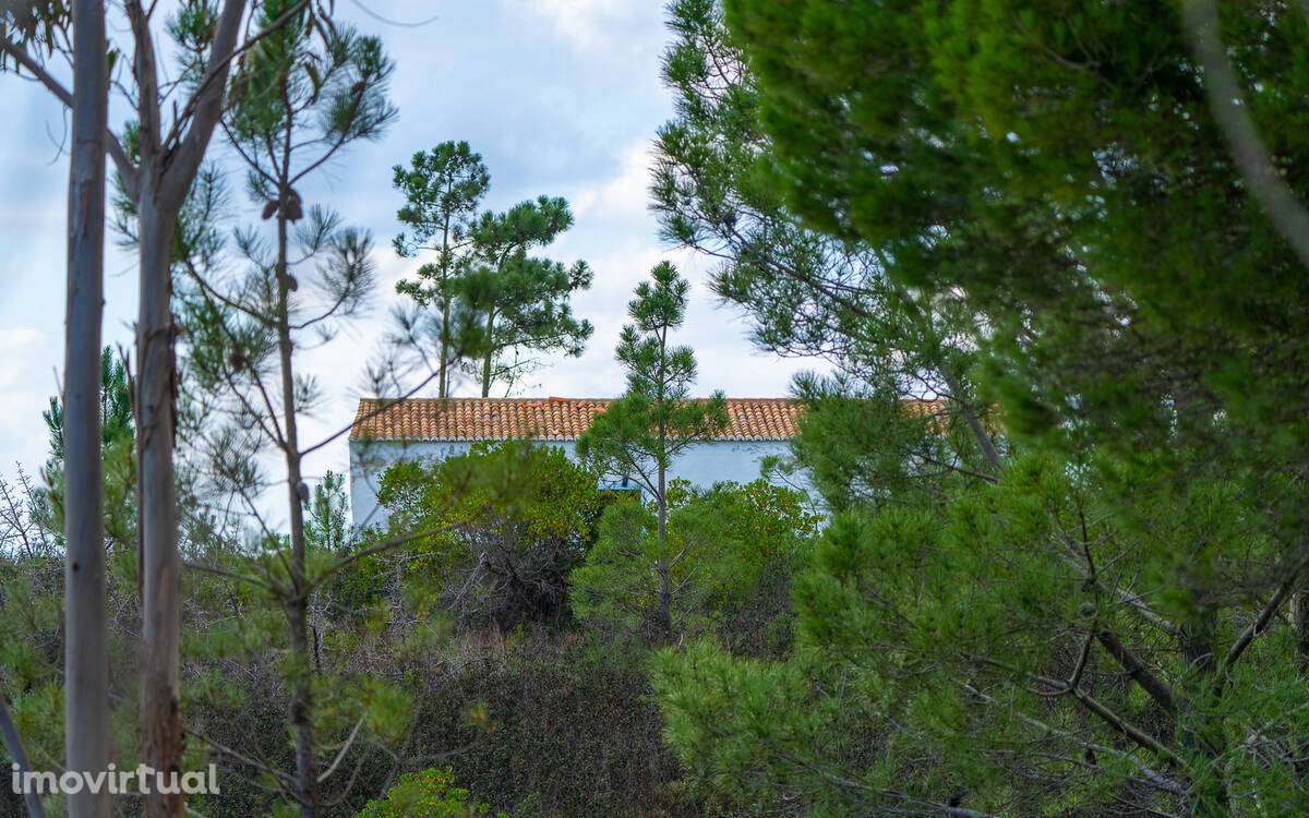 Quintinha Alfambras com vista mar - Grande imagem: 5/10