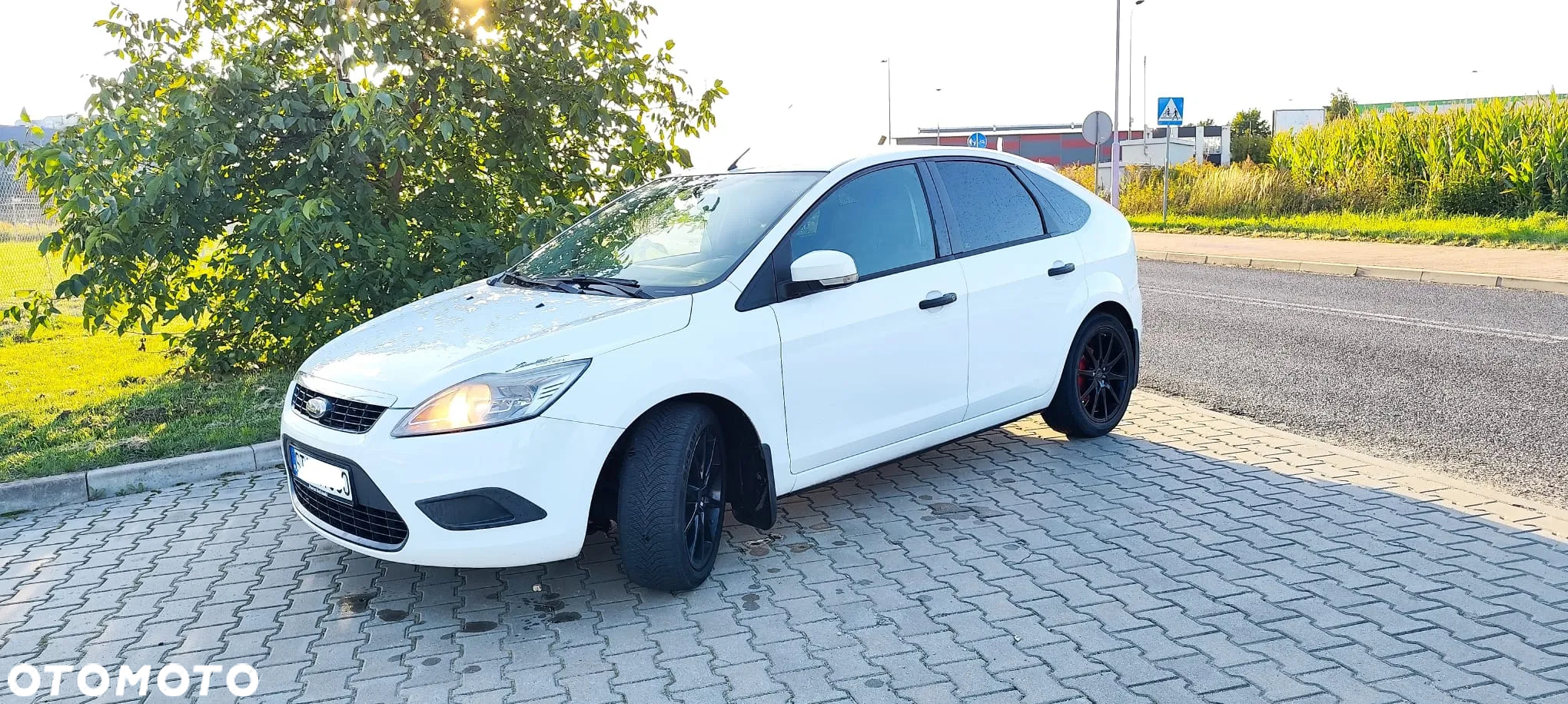 Ford Focus 1.6 Amber X EU5 - 4