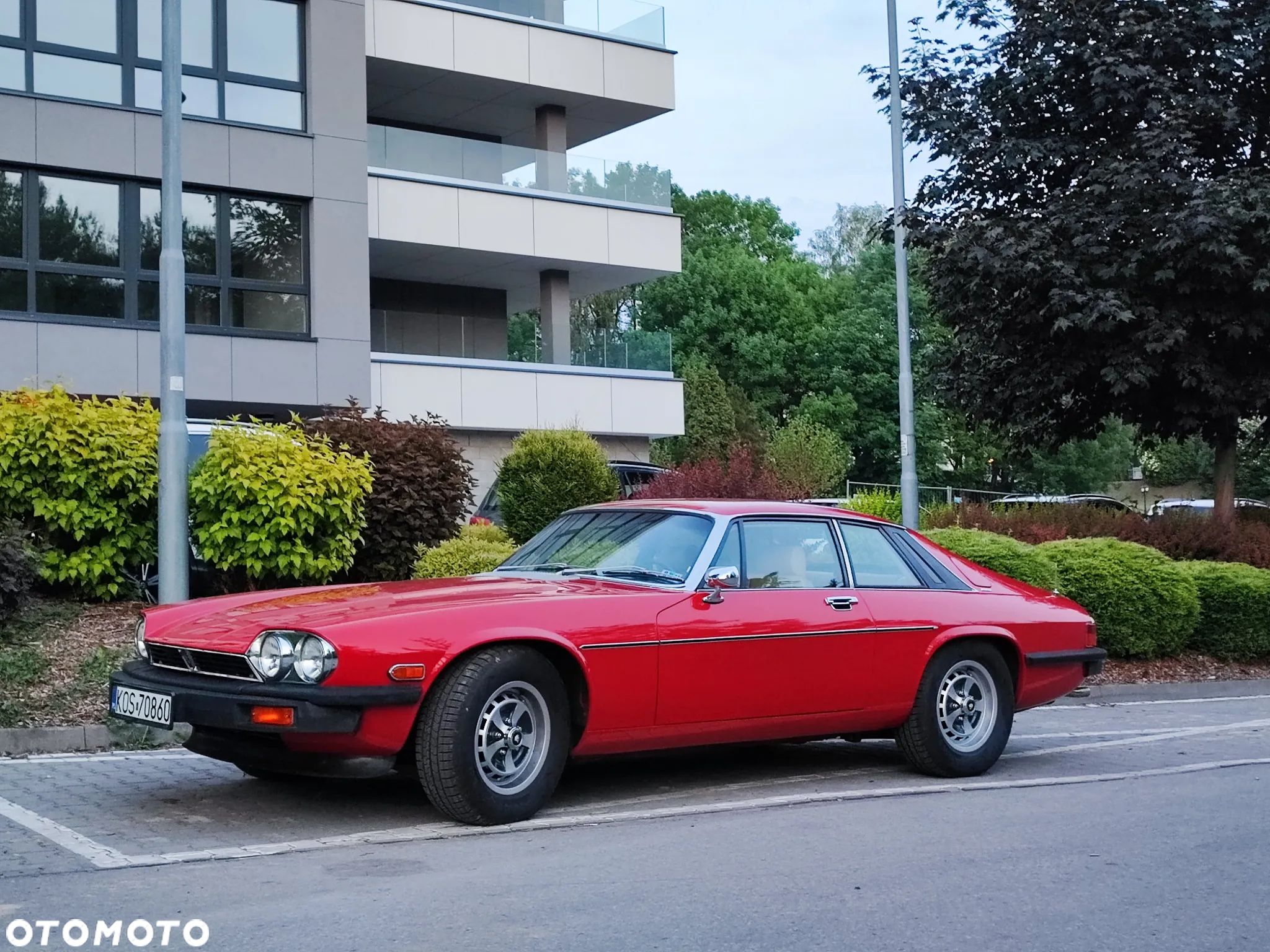 Jaguar XJS - 1