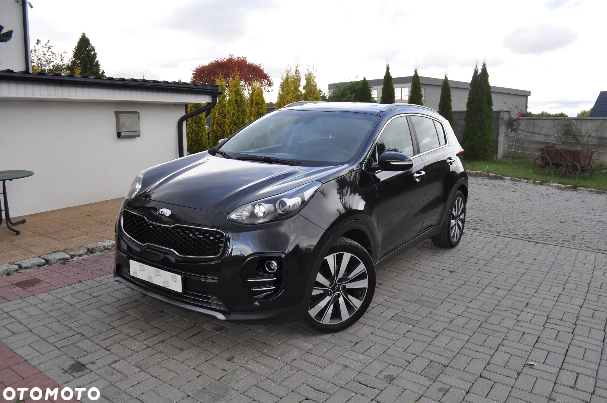 Kia Sportage 1.6 CRDI AWD Eco-Dynamics+ (48V M-H) DCT Black Edition - 2