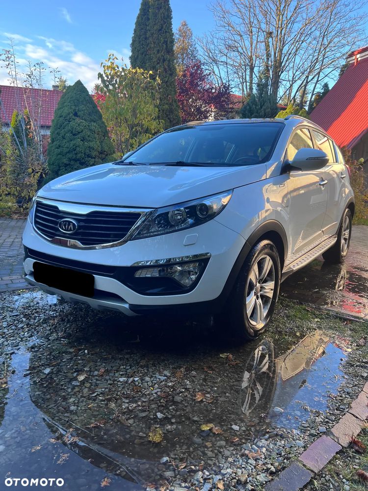 Kia Sportage - 1