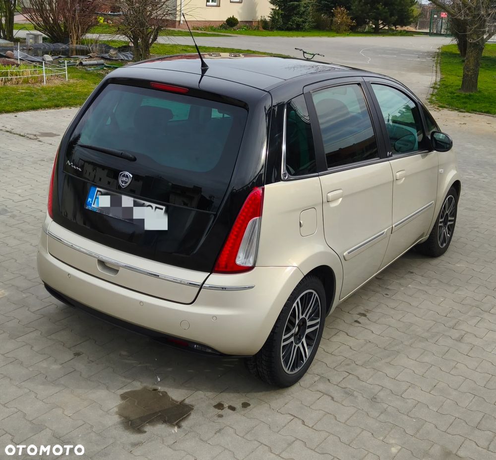 Lancia Musa - 9