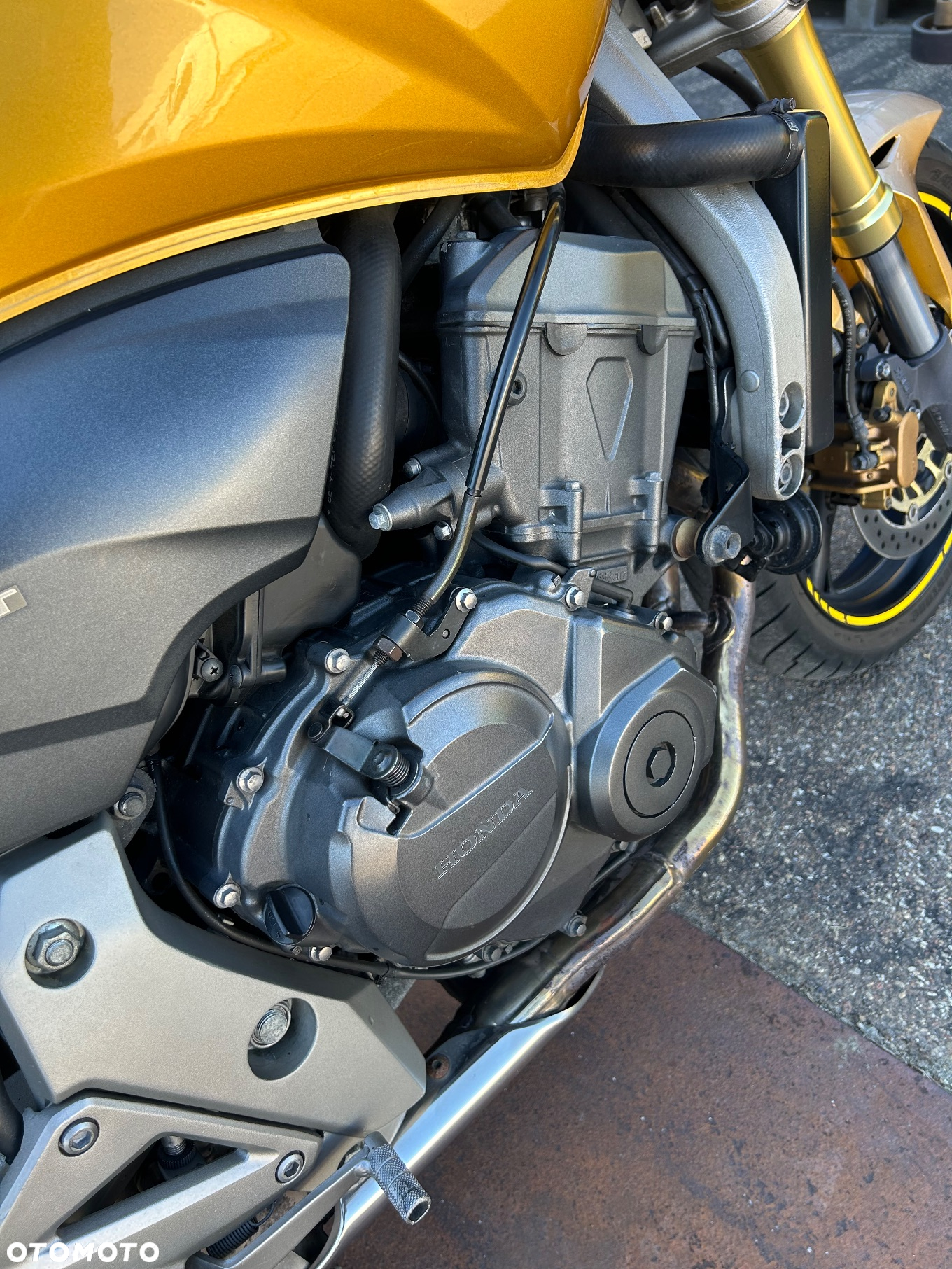 Honda Hornet - 13