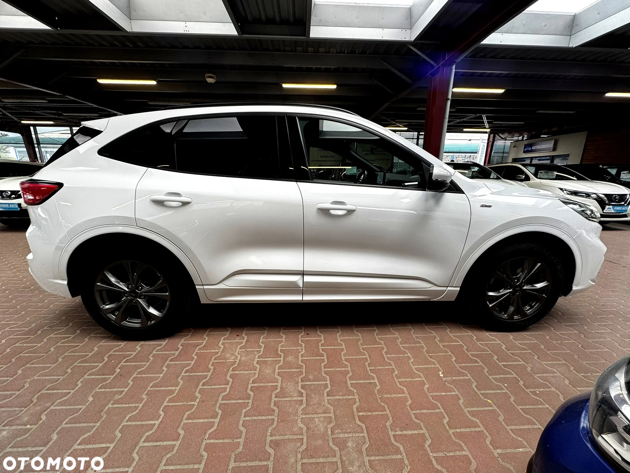 Ford Kuga 1.5 EcoBoost FWD ST-Line X - 8