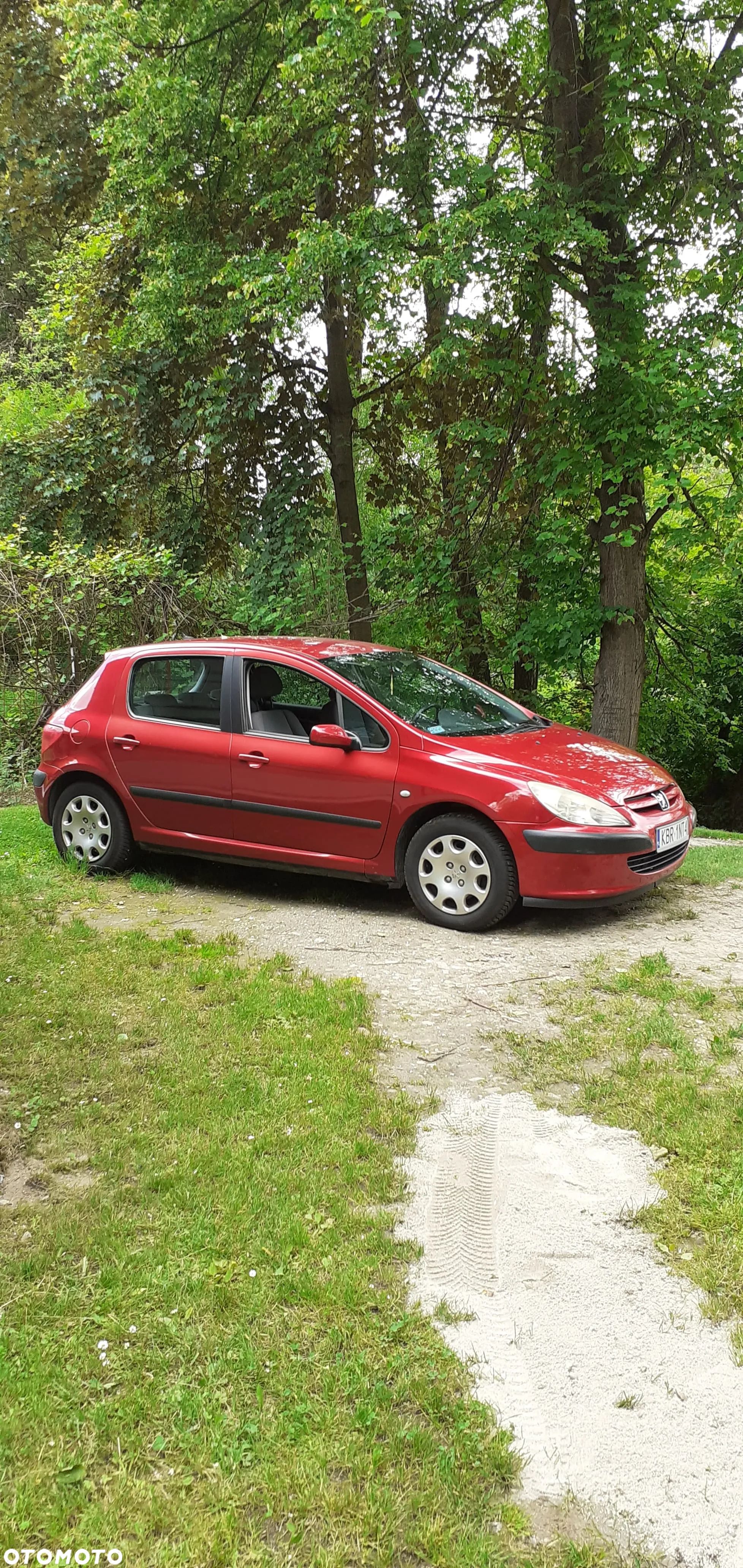 Peugeot 307 1.6 - 1