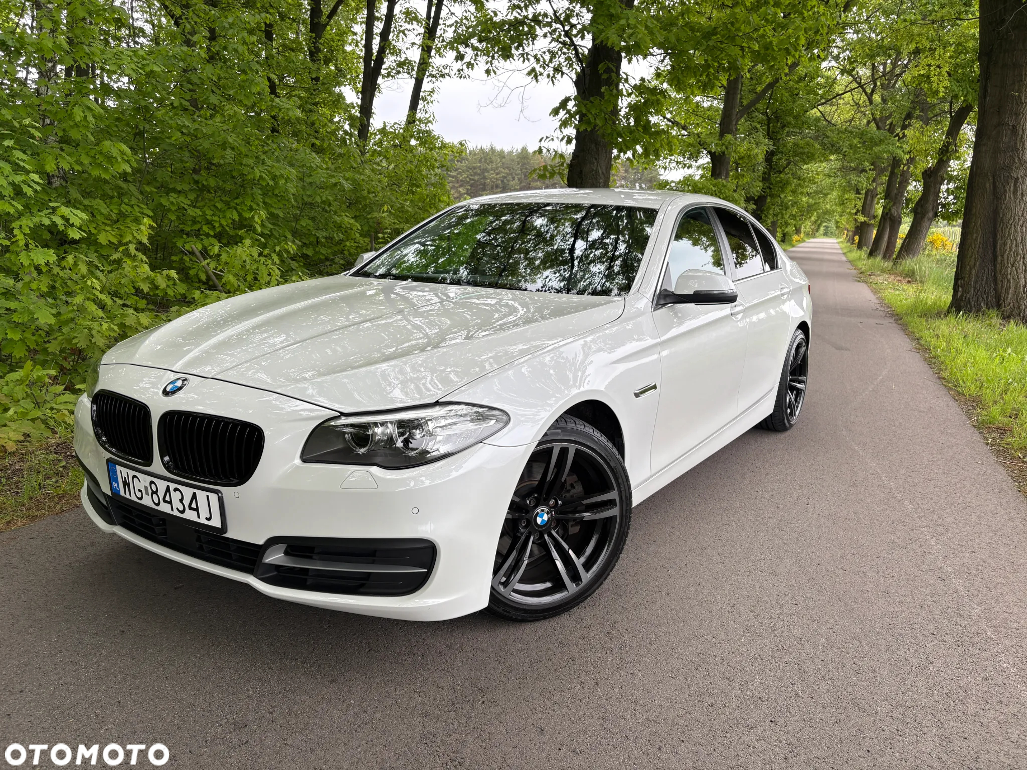 BMW Seria 5 520d - 7