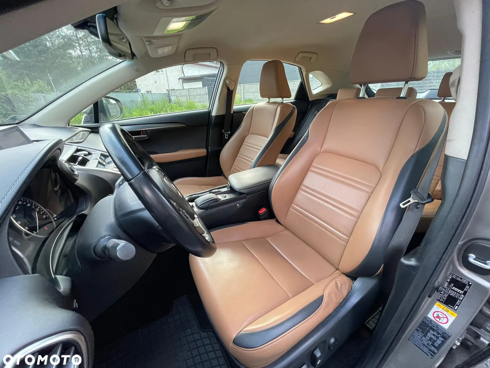 Lexus NX 300h Elite AWD - 2