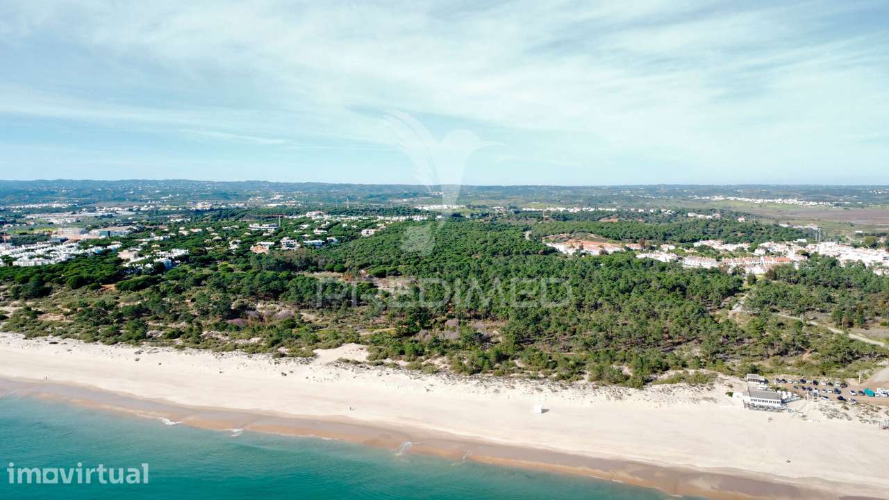 Terreno com 31.5ha com 500 metros de frente de praia - Grande imagem: 4/19