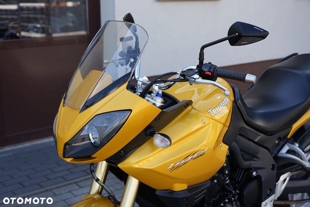 Triumph Tiger - 31