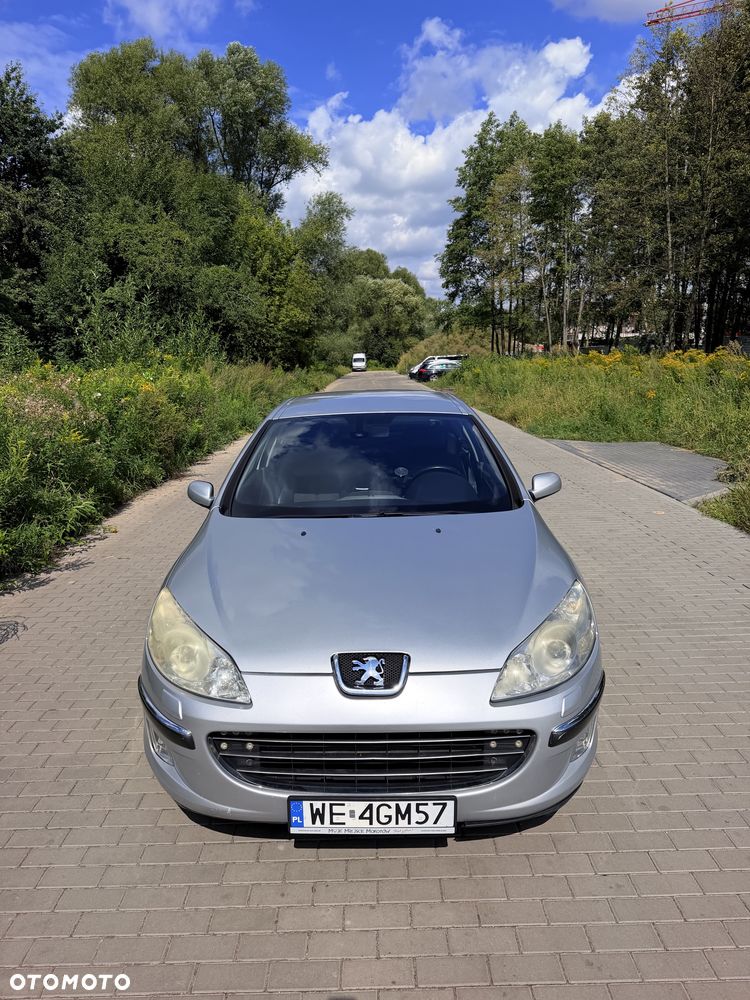 Peugeot 407 - 6