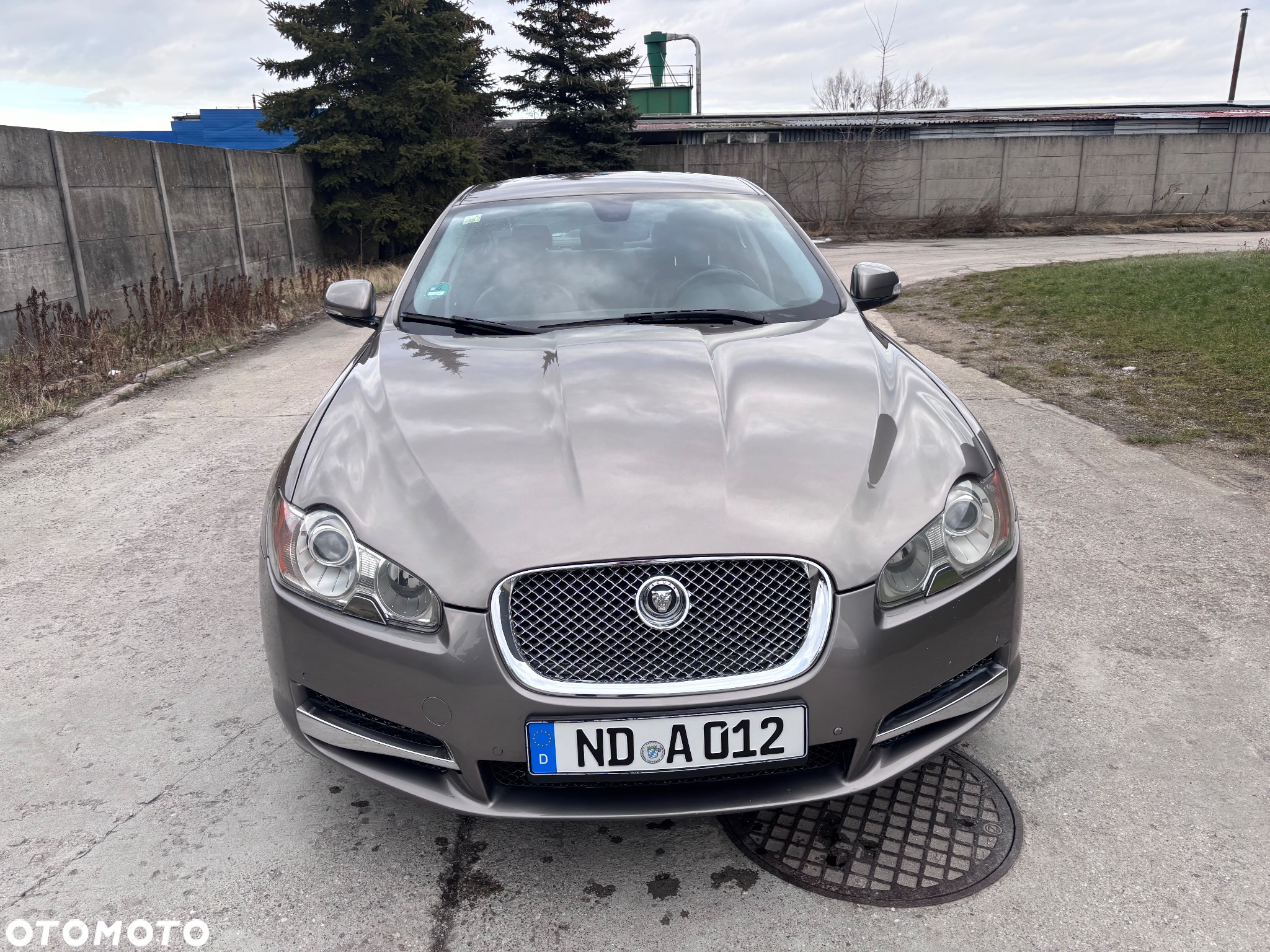 Jaguar XF 3.0 V6 D S Luxury - 7