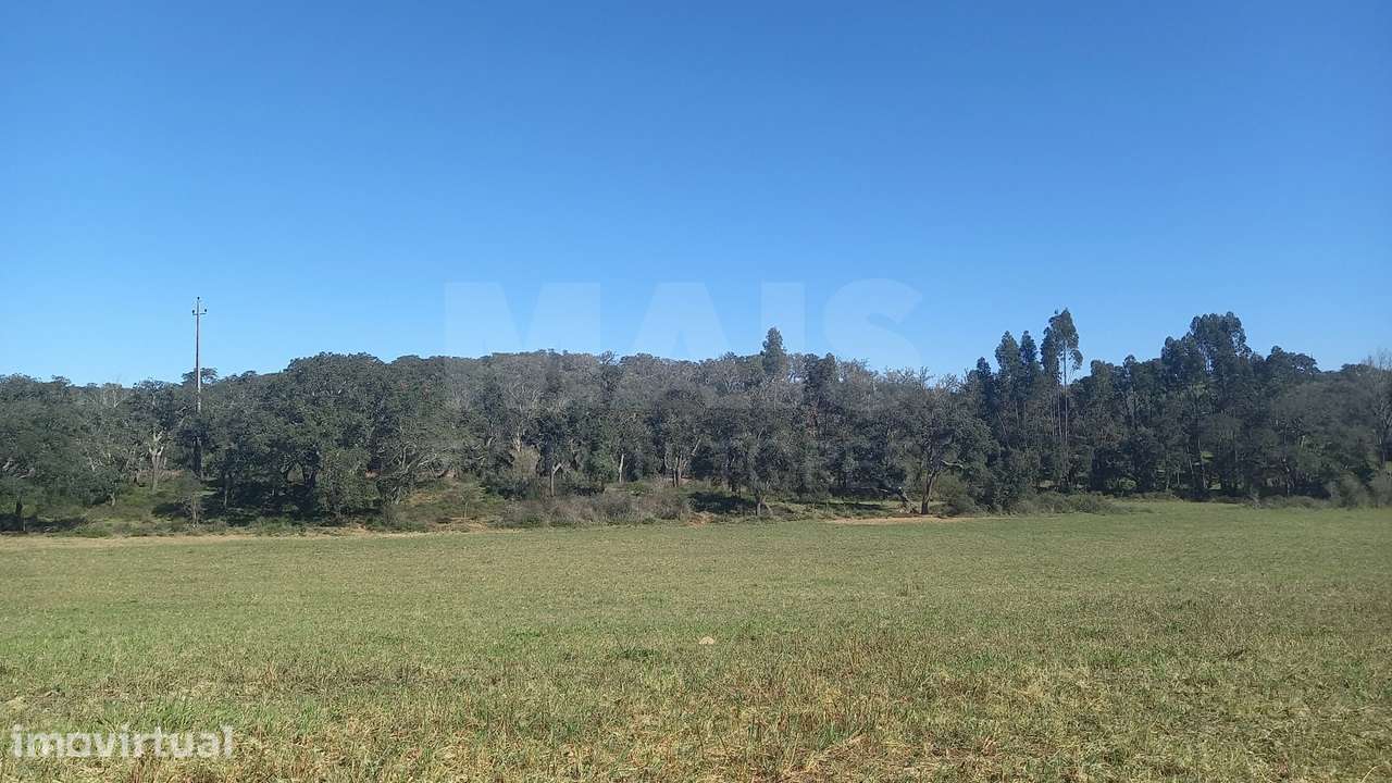 Herdade de 30 hectares em Cercal do Alentejo, Santiago do Cacém, Se... - Grande imagem: 2/29