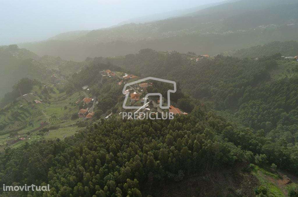Terreno - Sta Cruz - Grande imagem: 5/9