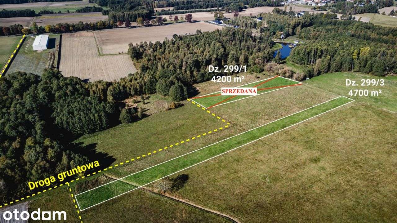 Działa rolna (łąka) 4700 m², Żebrak, gm. Skórzec - Pełny obrazek: 5/7