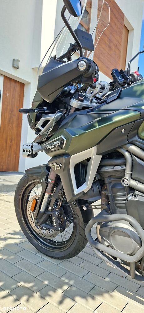 Triumph Tiger - 15