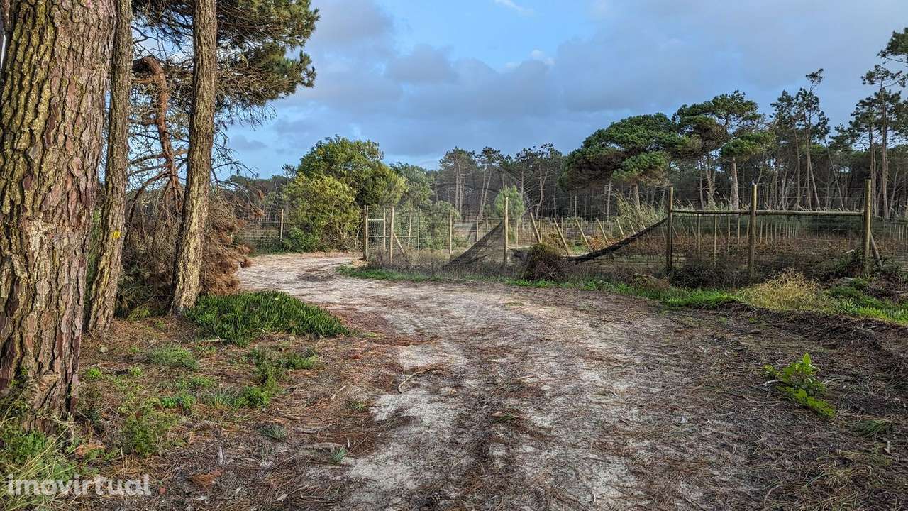 Terreno  para venda - Grande imagem: 2/18