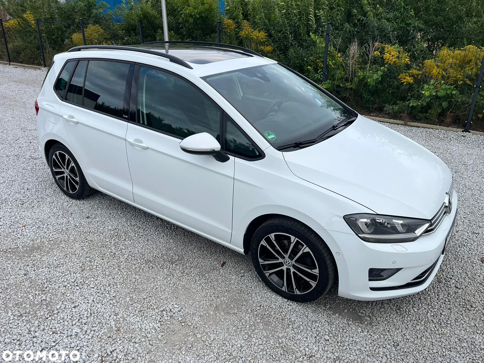 Volkswagen Golf Sportsvan - 2