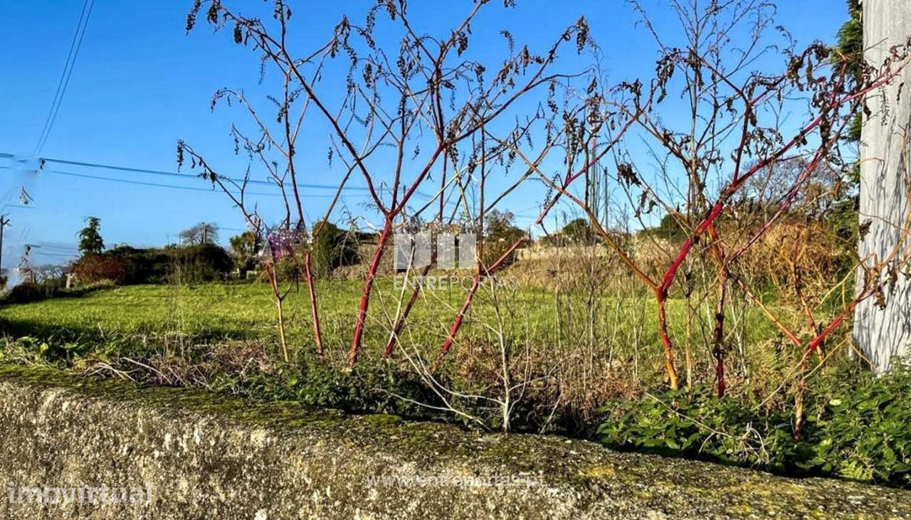 Venda de Terreno para construção com 1100 m2 em Tougues, Vila do Con - Grande imagem: 3/12