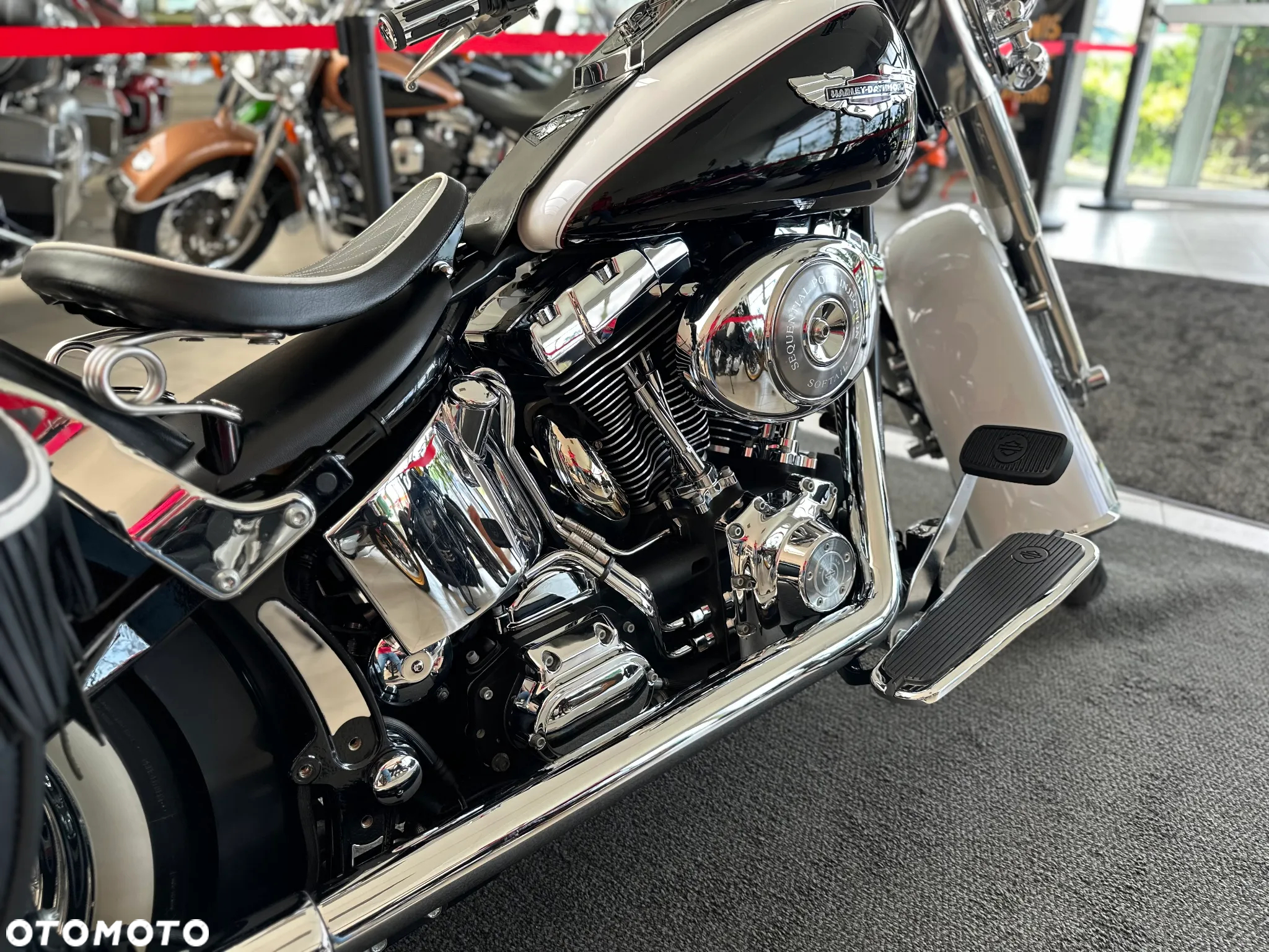 Harley-Davidson Softail - 22