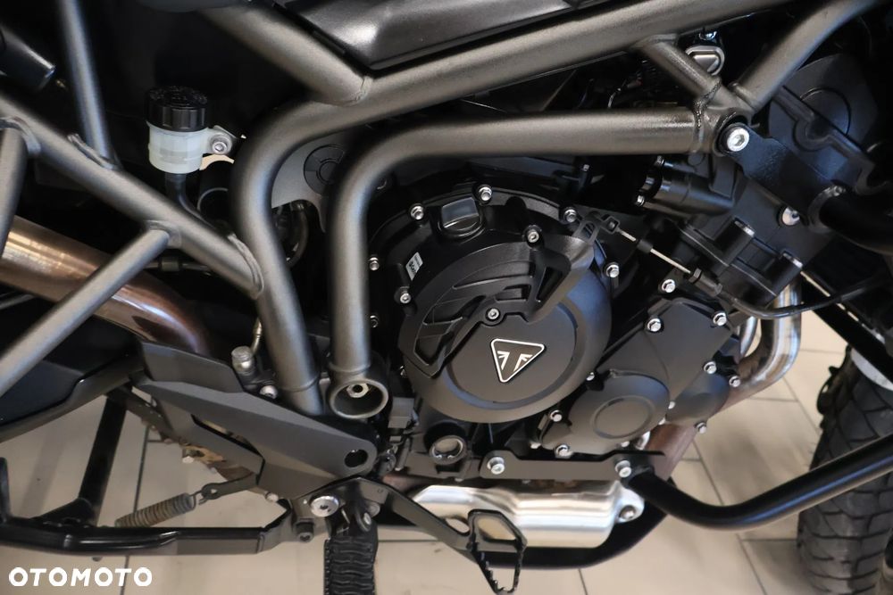 Triumph Tiger - 20