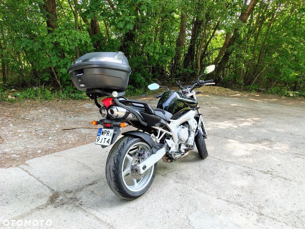Yamaha FZ6 - 4