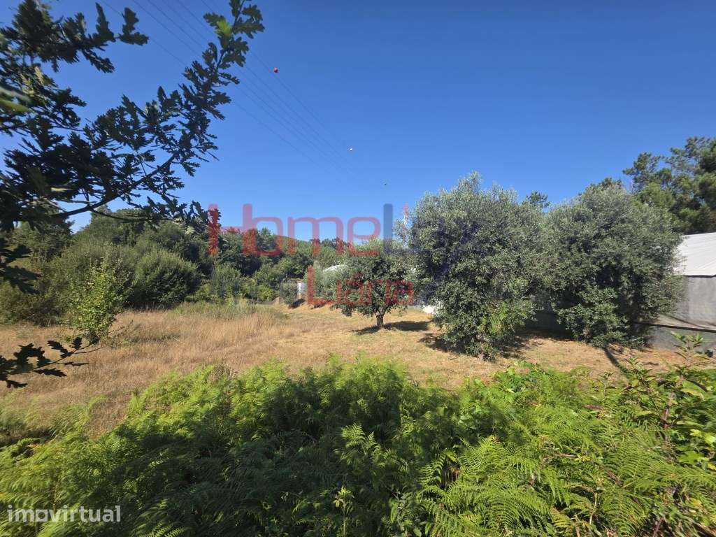 Terreno para venda no Campo, Viseu - Grande imagem: 5/11