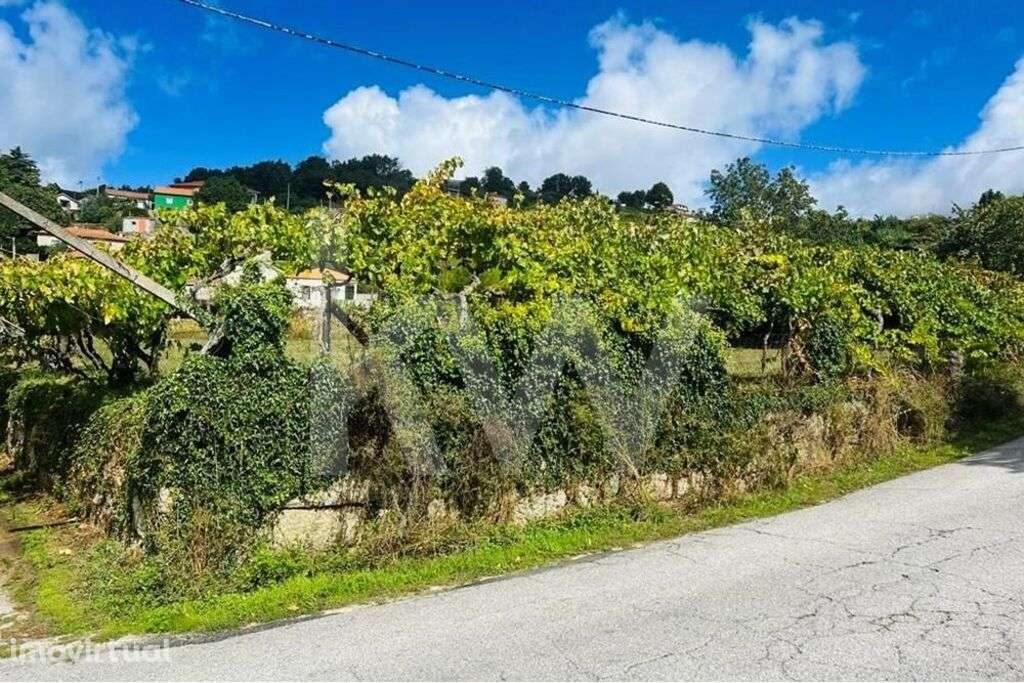 Terreno 2600 em Gestaçô com 3800m2, situado em Baião - Grande imagem: 3/20
