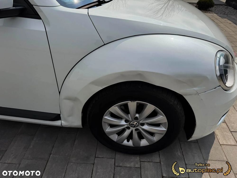 Volkswagen Beetle - 15