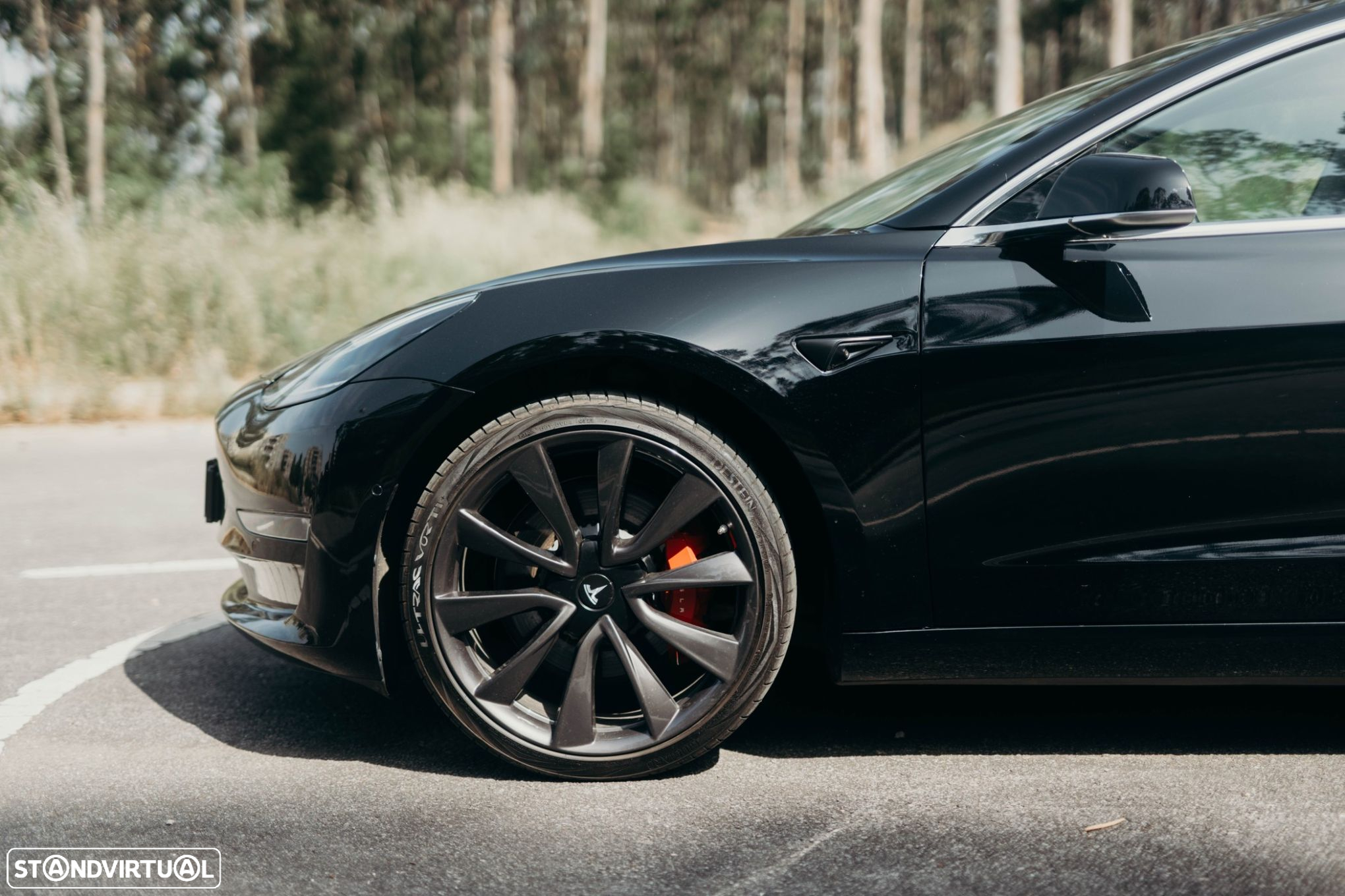 Tesla Model 3 Performance Dual Motor AWD - 16