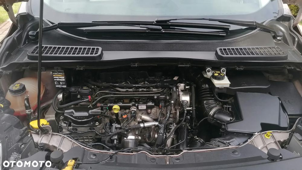 Ford Kuga Vignale 2.0 TDCi AWD - 15