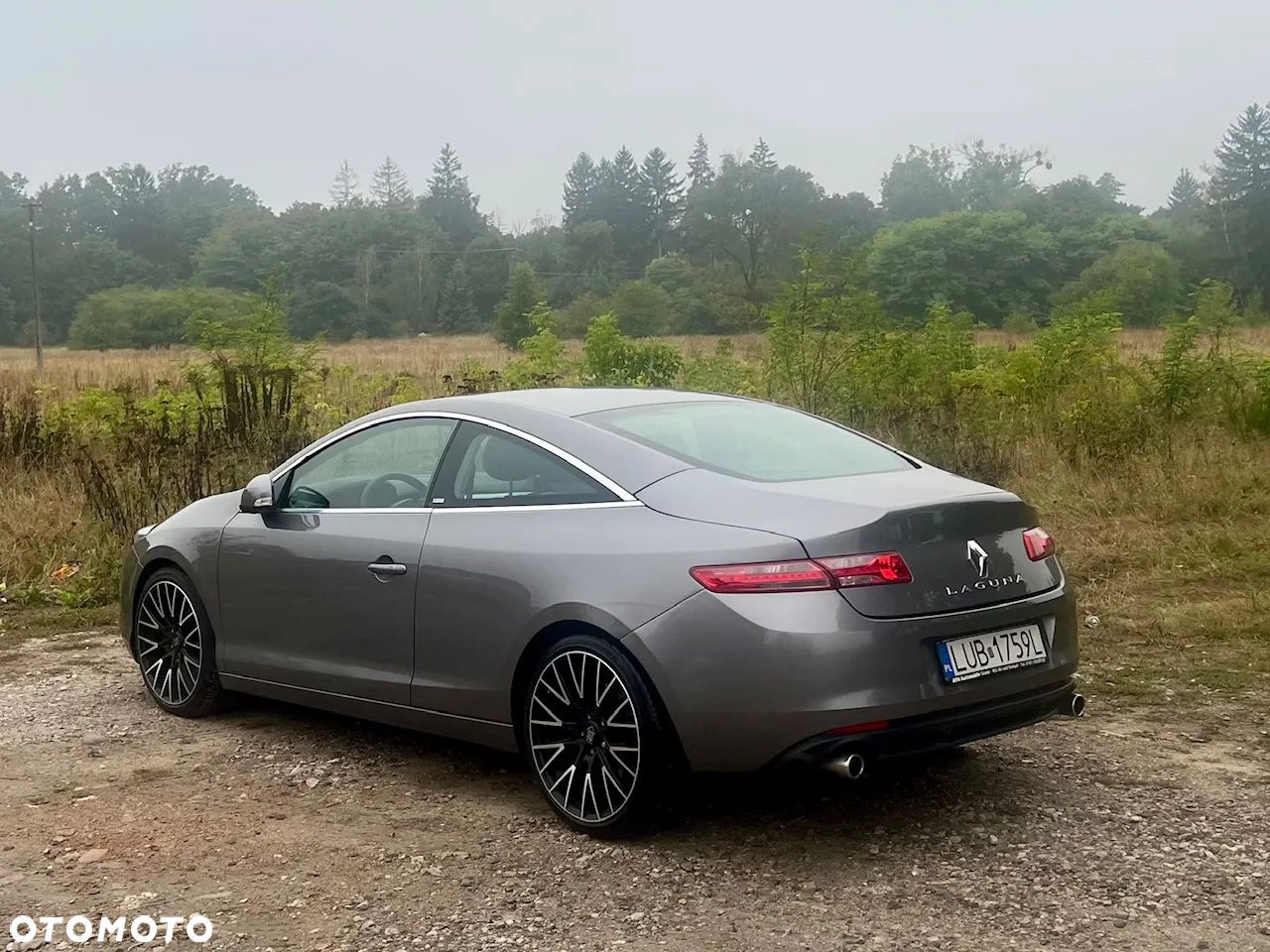 Renault Laguna Coupe dCi 180 FAP GT - 1