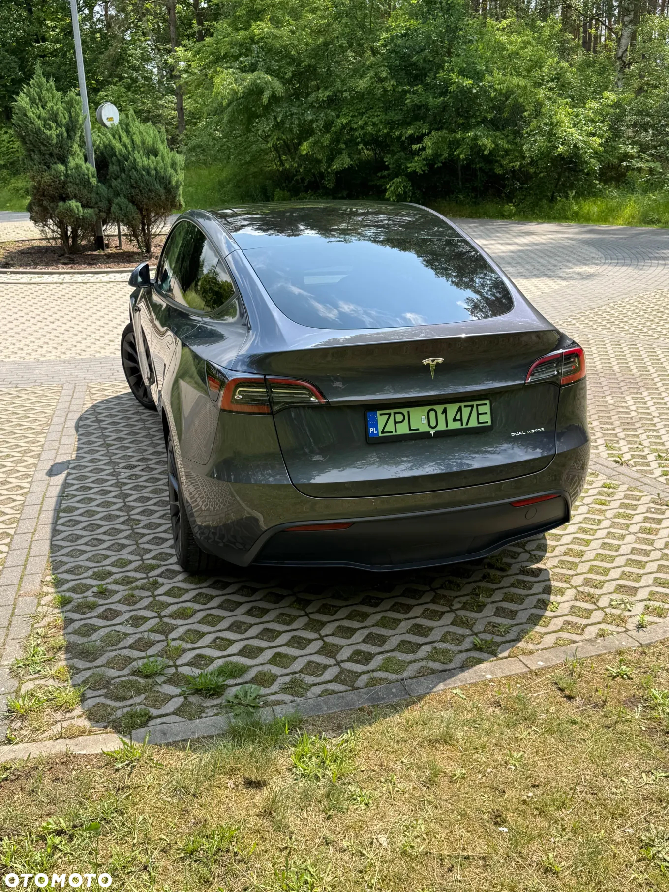 Tesla Y Model Long Range Dual Motor AWD - 11