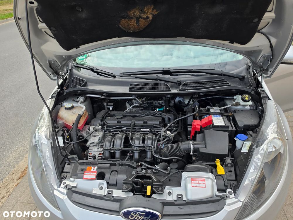 Ford Fiesta - 19