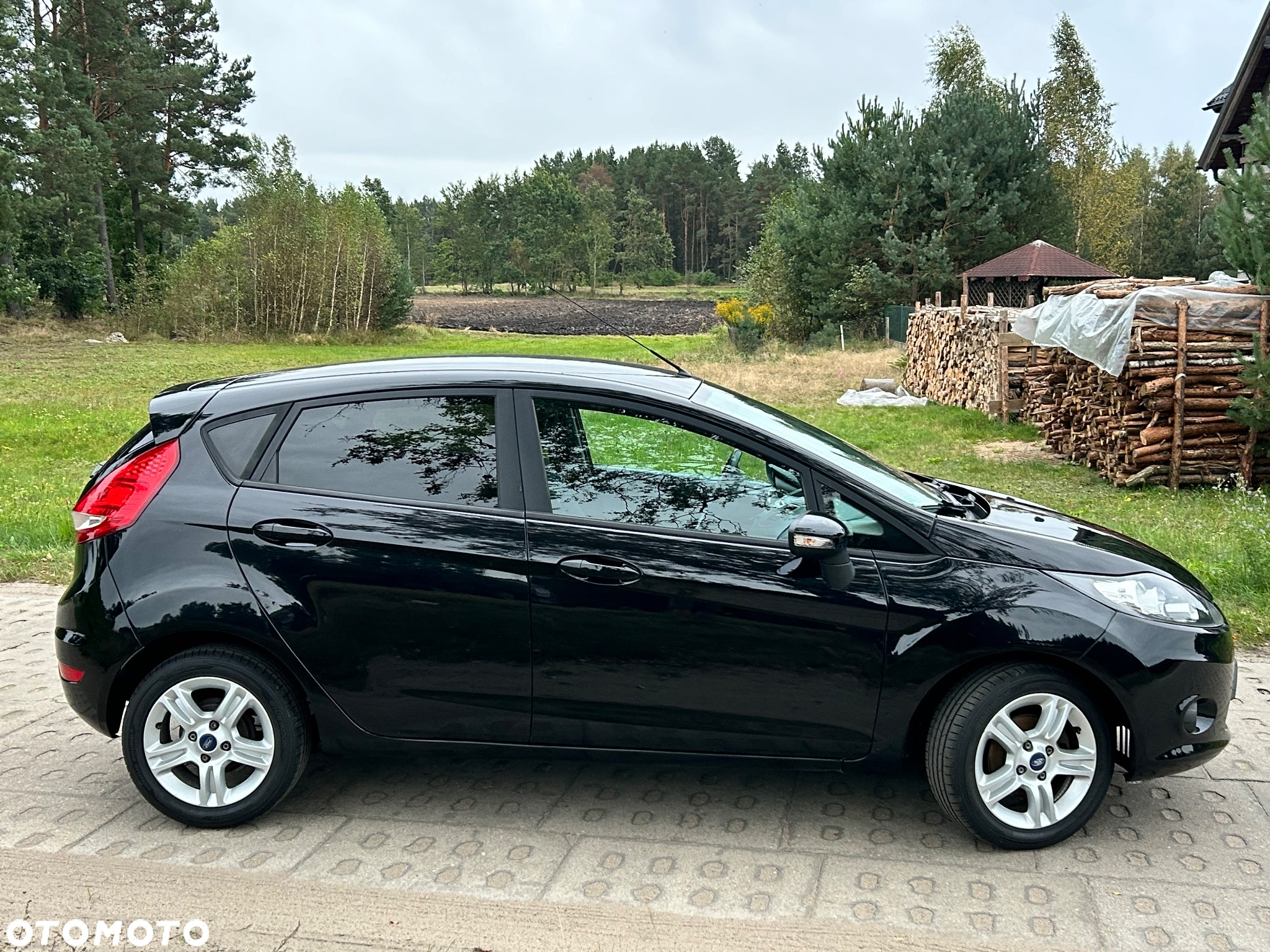 Ford Fiesta 1.25 Platinium X - 3