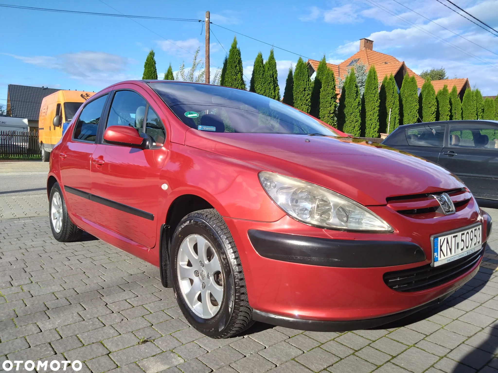 Peugeot 307 - 7