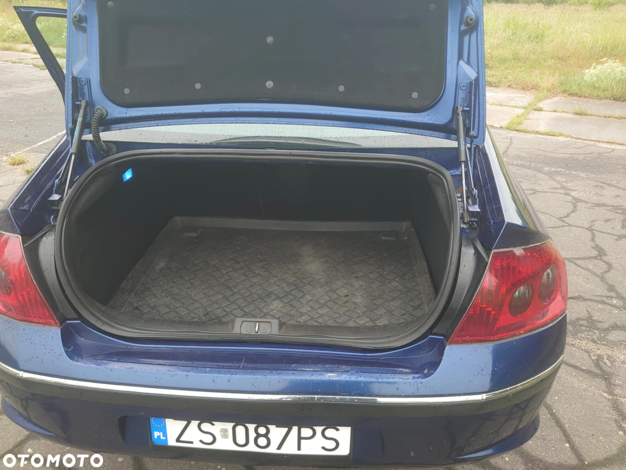 Peugeot 407 2.0 SV Executive - 7
