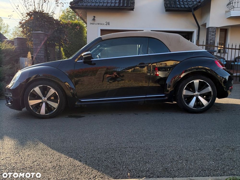Volkswagen Beetle - 8