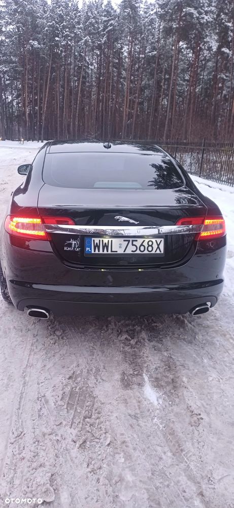 Jaguar XF 3.0 V6 D Premium Luxury - 3
