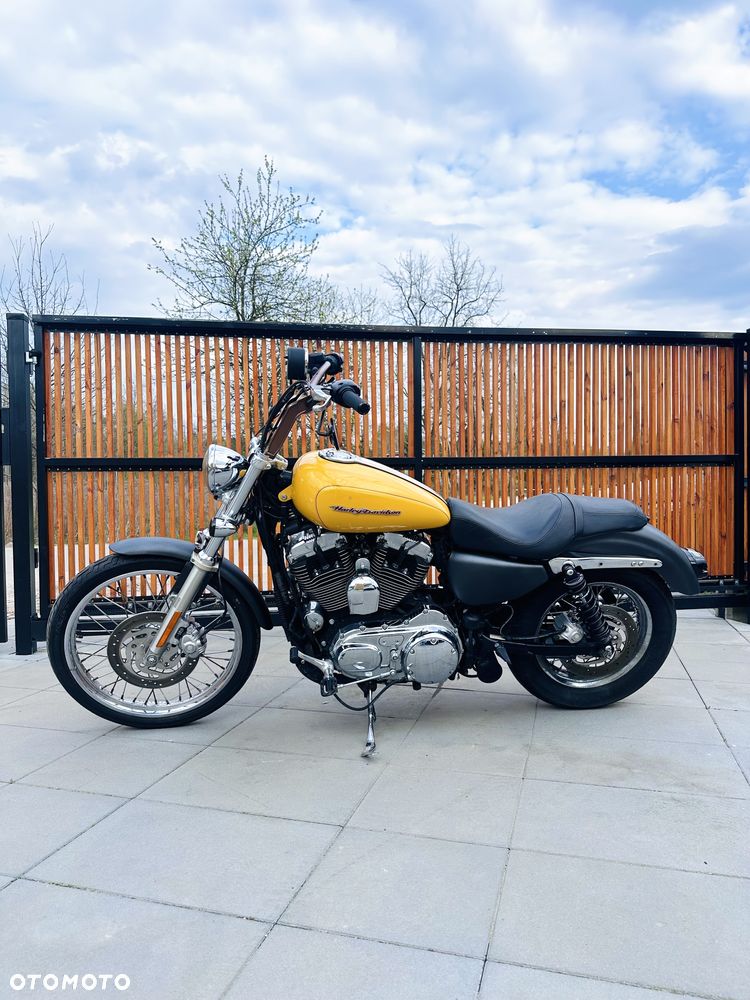 Harley-Davidson Sportster Custom 1200C - 1
