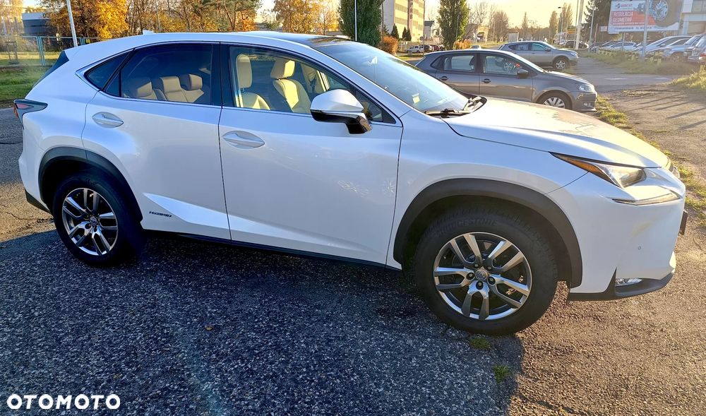 Lexus NX 300h Comfort AWD - 13