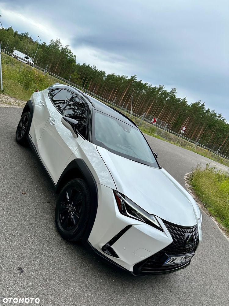 Lexus UX 250h Prestige 2WD - 10