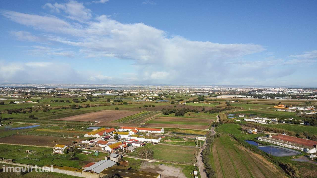 Quinta  Montijo - Jardia p/ Reabilitação c/ 14.000m2  - 3 licenças urb - Grande imagem: 2/18