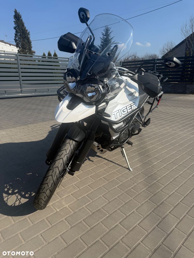 Triumph Tiger - 16