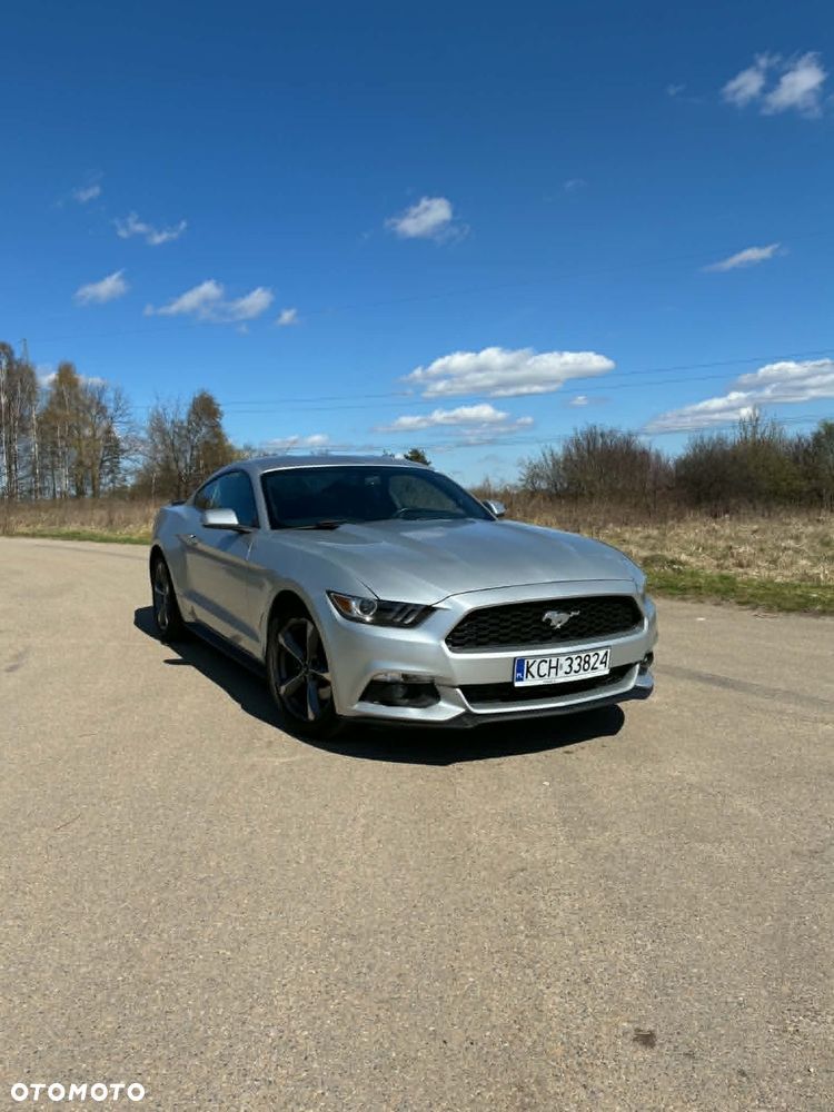 Ford Mustang 3.7 V6 - 10