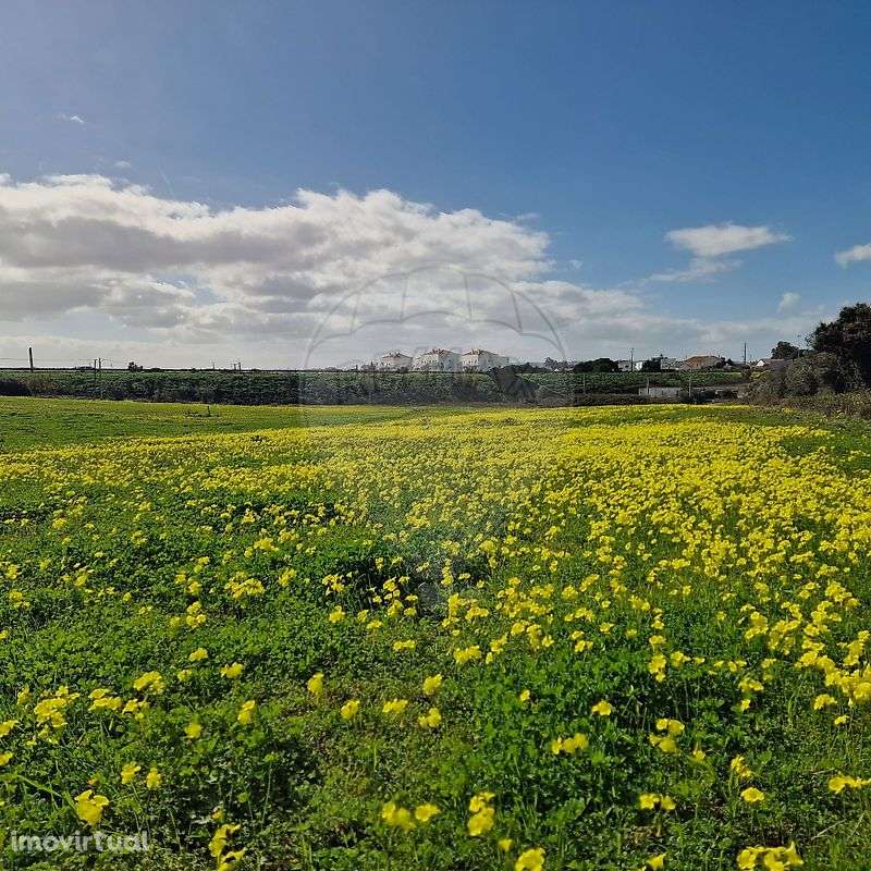 Terreno  para venda - Grande imagem: 4/7